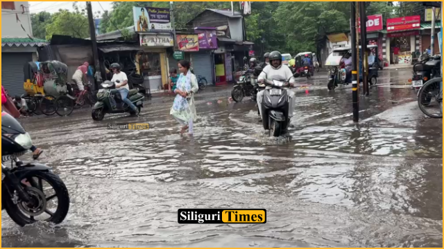 सिलीगुड़ी: हल्की बारिश में टिकियापाड़ा मोड़ जलमग्न, सड़क के गंदे पानी से दुकानदारों और राहगीरों की बढ़ी परेशानी