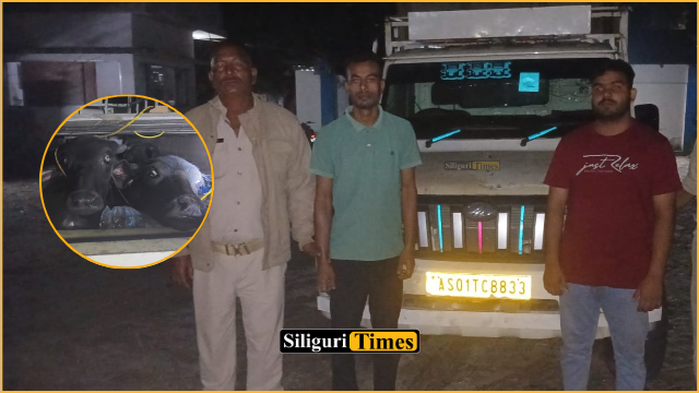 फांसीदेवा में चिप्स से लदे वाहन की आड़ में गो-तस्करी, दो गिरफ्तार