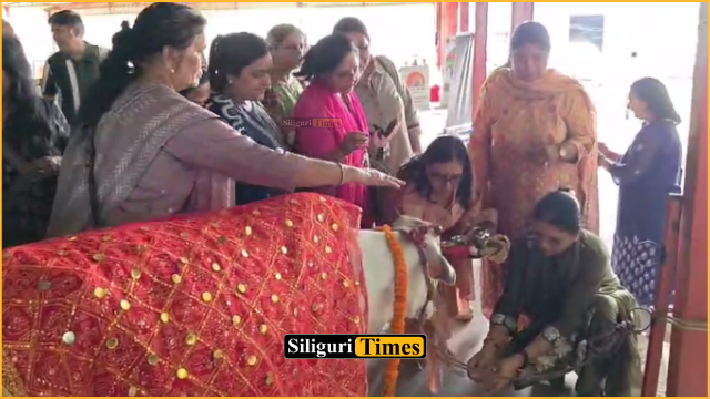 फुलबाड़ी में गोसेवा की अनूठी पहल, बीमार गायों के लिए लायंस क्लब ने किया 56 भोग का आयोजन