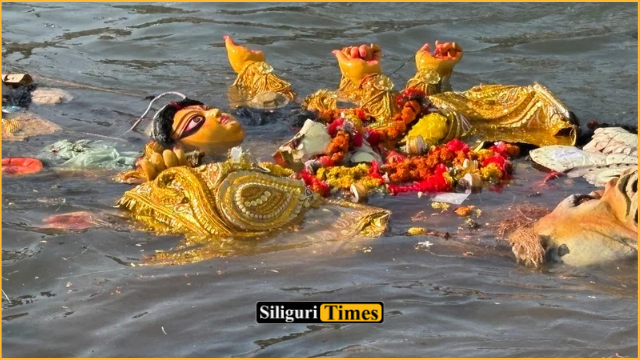सिलीगुड़ी में दुर्गा प्रतिमा विसर्जन जारी, अब तक 286 प्रतिमाओं का विसर्जन